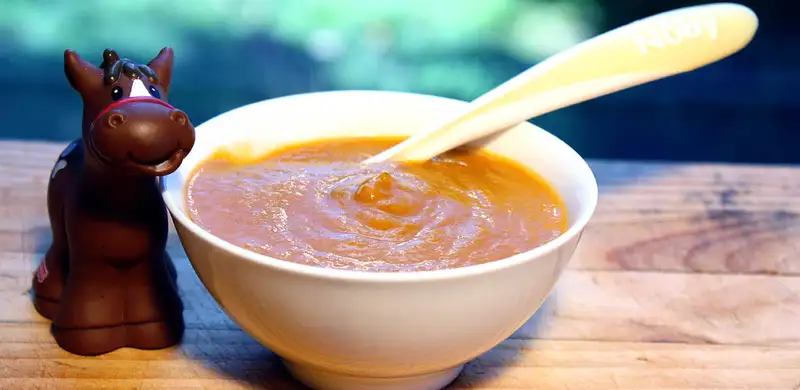 Puree Daging Sapi Rebus Lembut